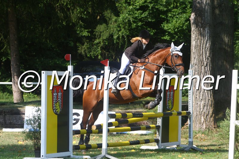 308M9566_Gipsy Queen_Spring_A.JPG